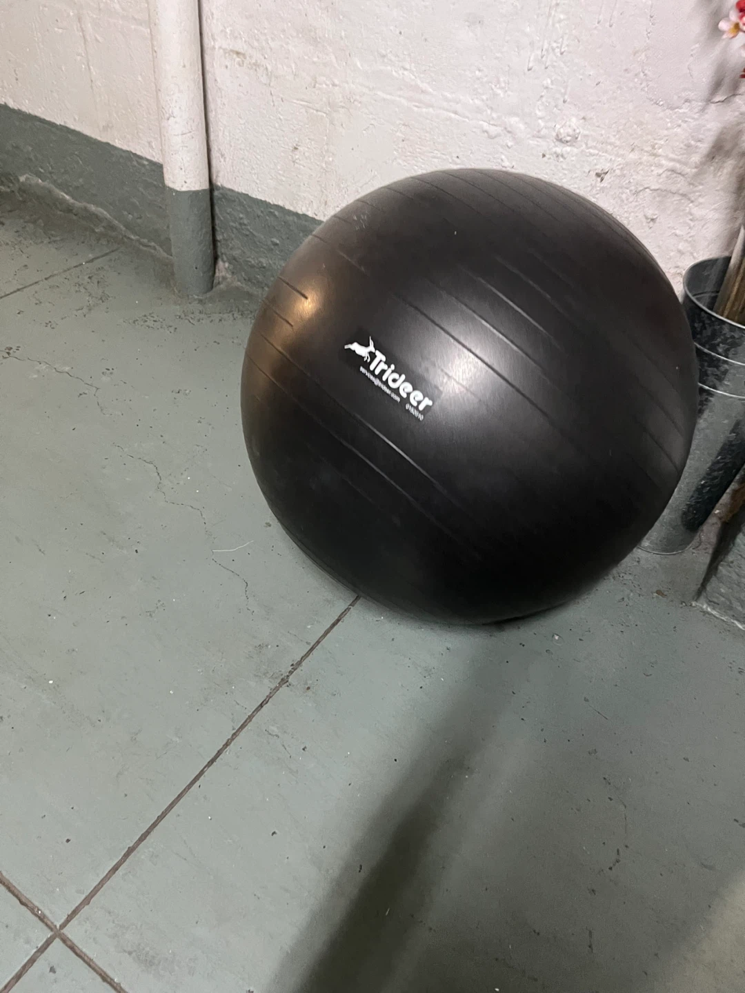 Trideer Exercise Ball