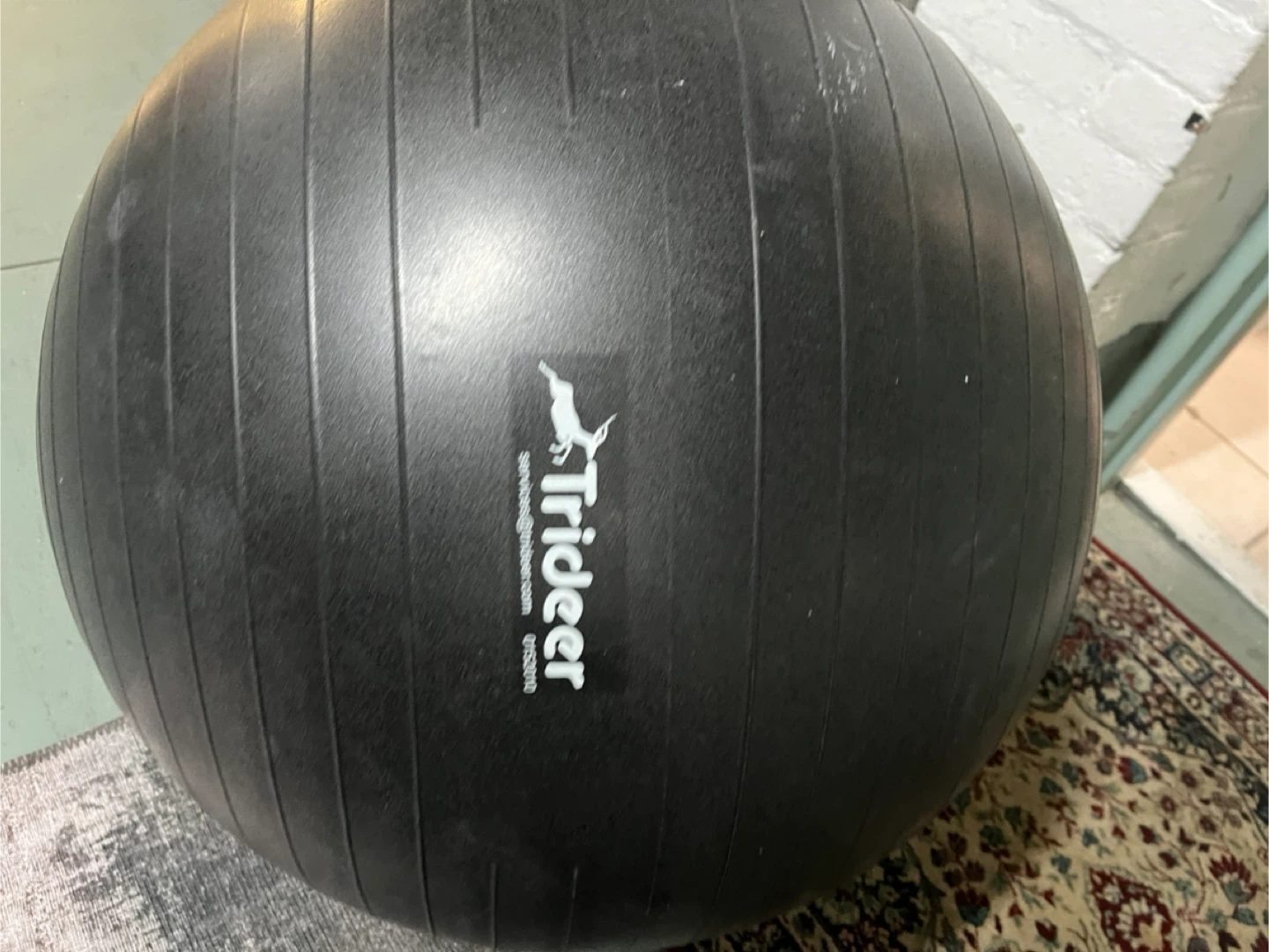 Trideer Exercise Ball - photo 2