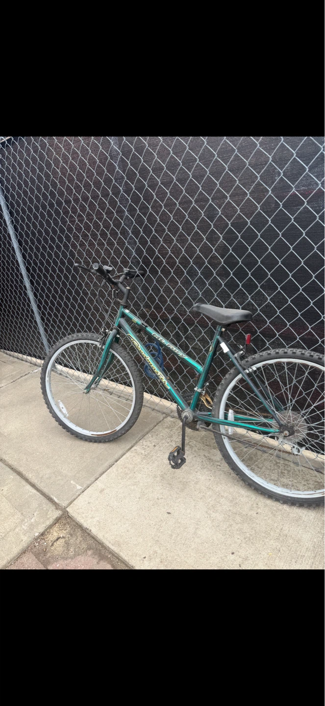 Gold Men's Cruiser Bike