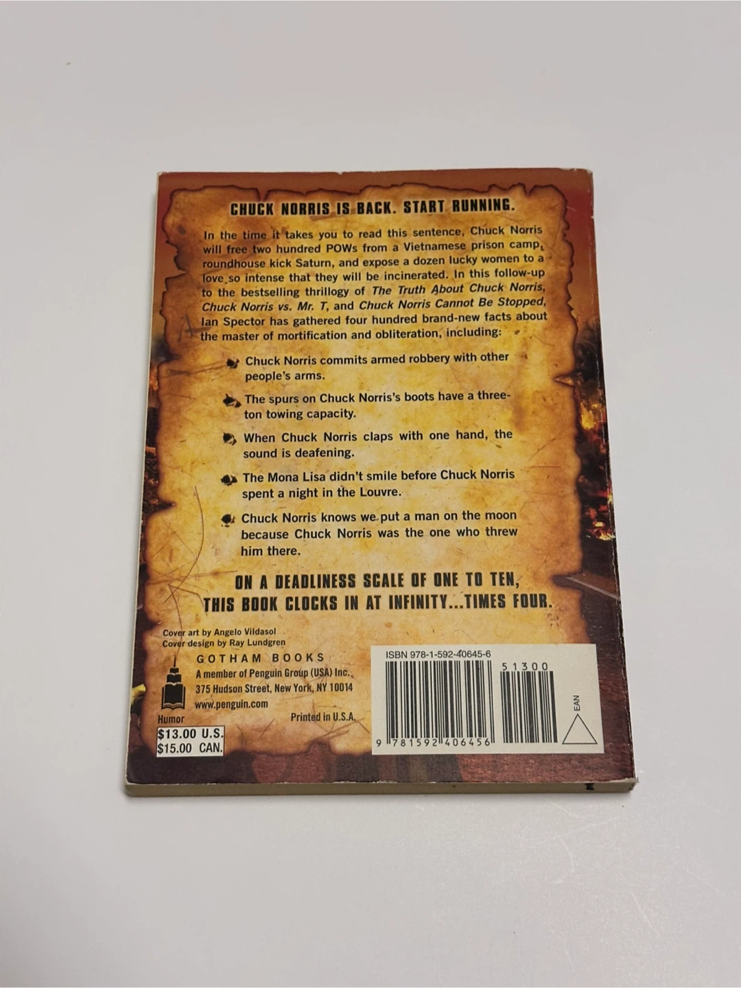 The Last Stand of Chuck Norris by Ian Spector Book - photo 2