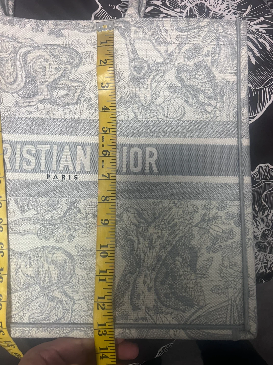 Christian Dior Book Tote Bag - photo 4