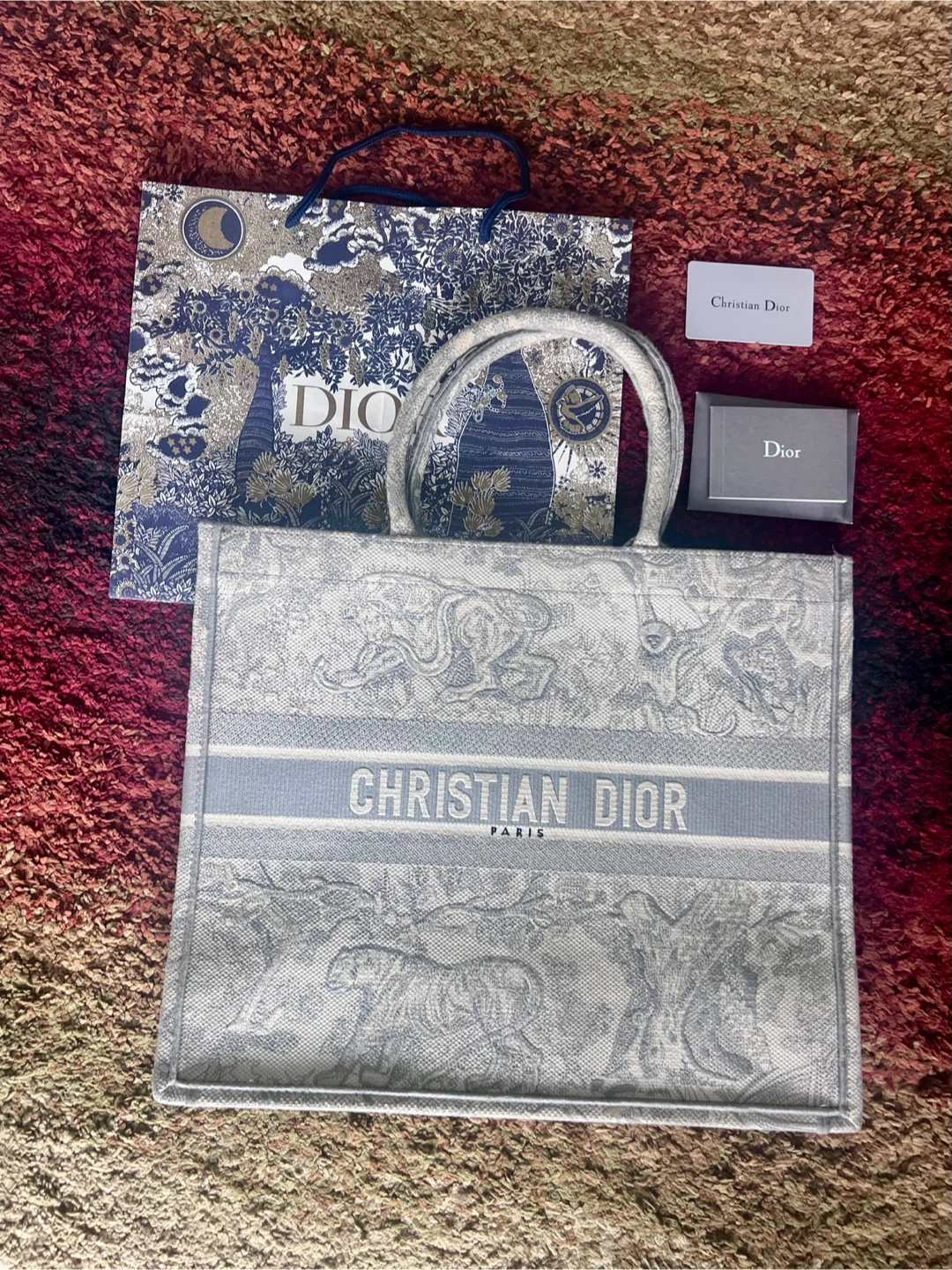 Christian Dior Book Tote Bag