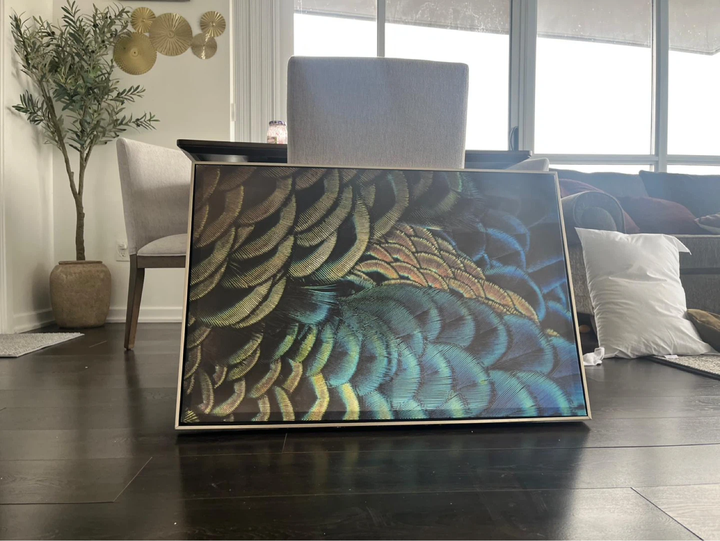 Framed Artwork - Peacock Feathers Close-Up