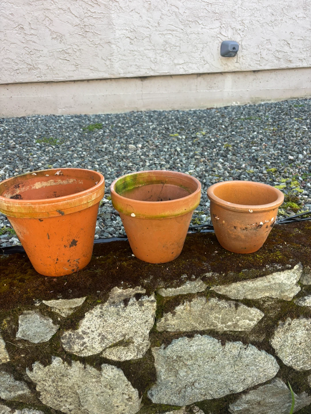 Terracotta pots read description