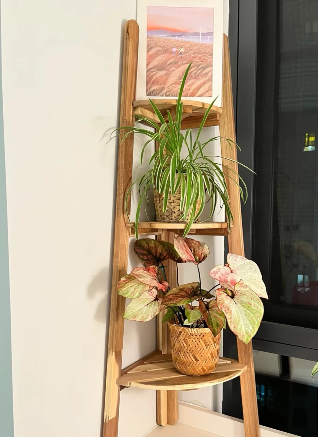 Wooden Ladder Corner Shelf