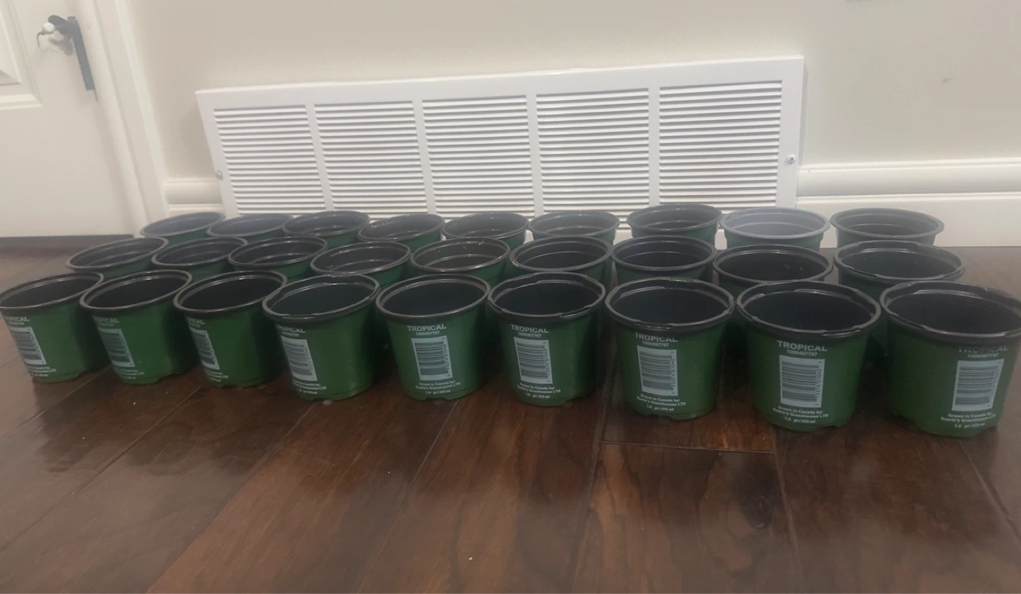 Tropical 36 Plant Pots