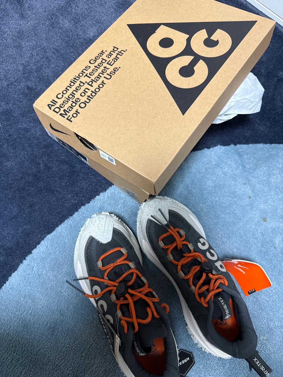 Nike ACG Low GORE-TEX Shoes