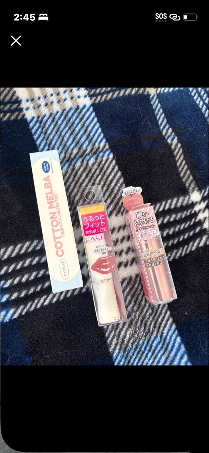 Rom&Melba Dewy-Ful Water Tint, Kose Fasio, and Canmake Lipsticks