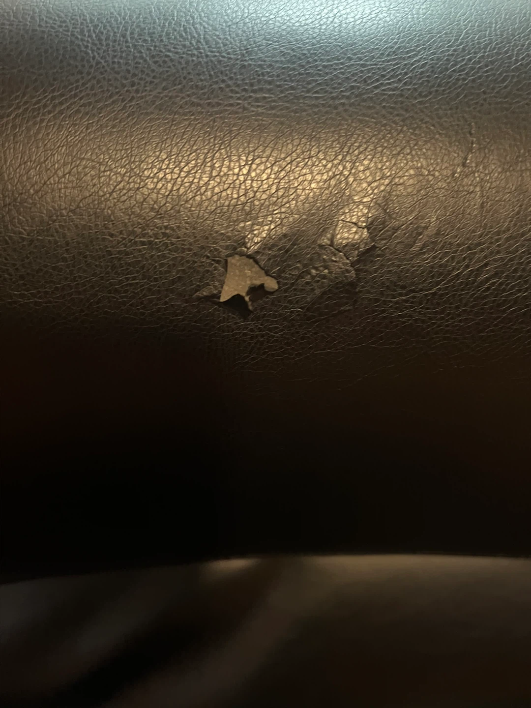 Black Leather Executive Office Chair - Beautyrest - photo 3