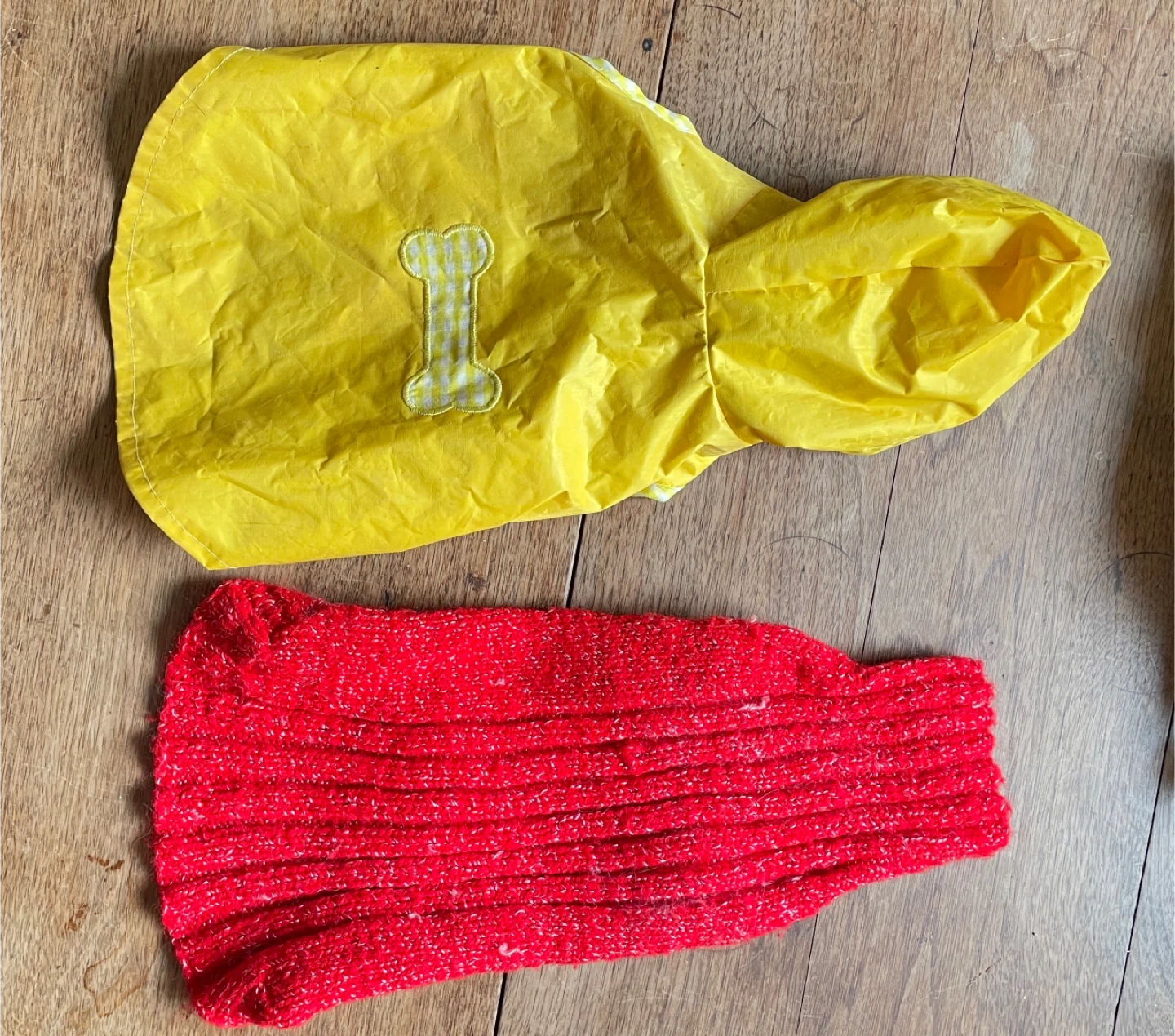 Yellow Dog Raincoat and Red Dog Sweater