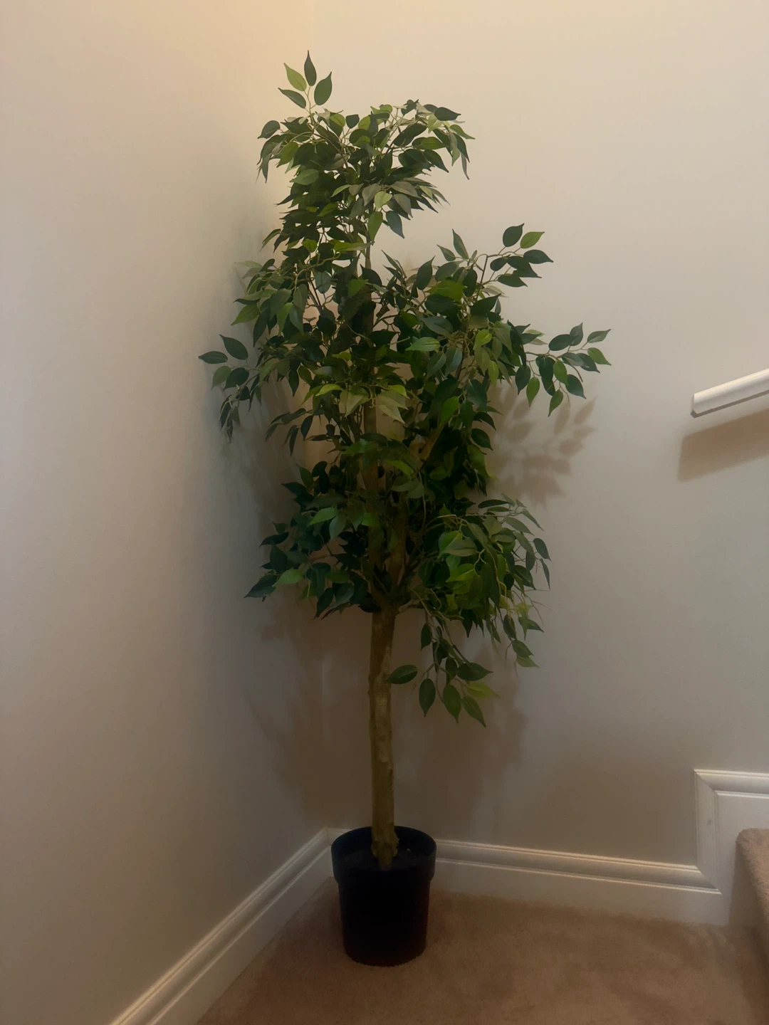 Artificial Ficus Tree in Black Pot