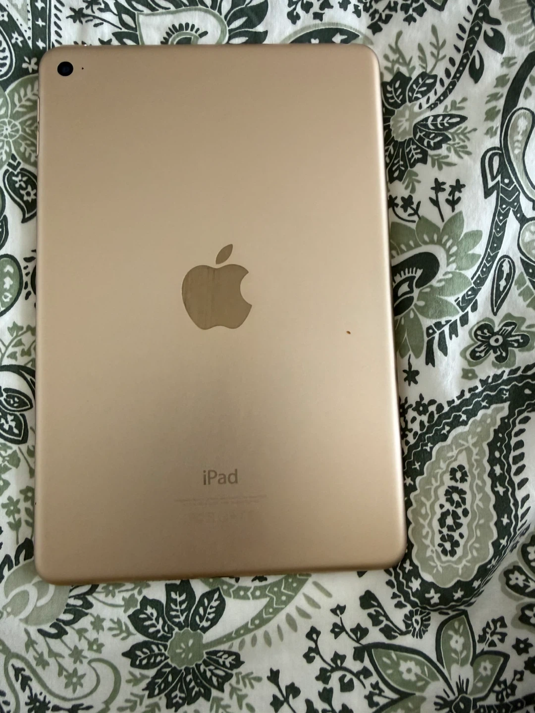 Apple iPad Mini (Gold) - photo 2