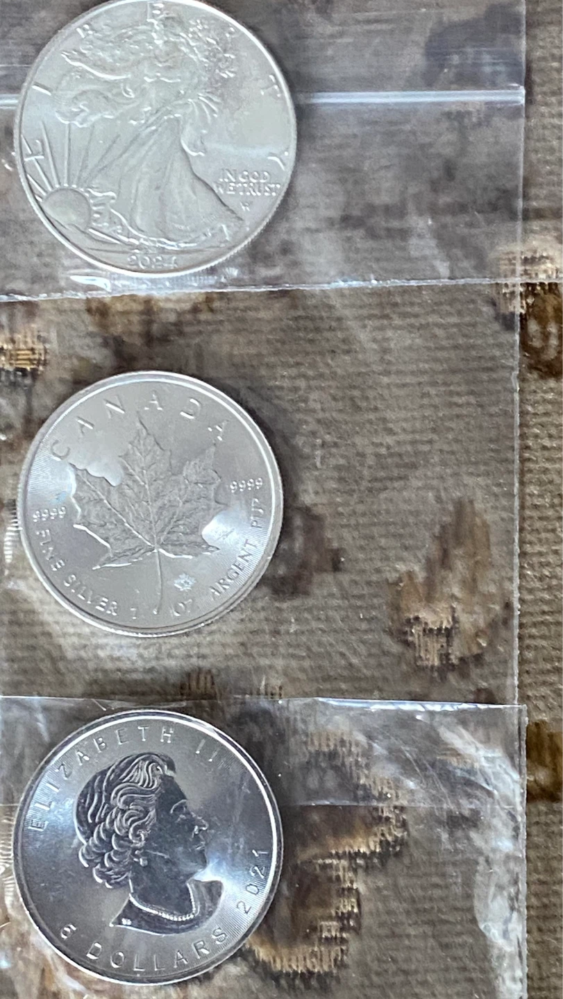 3 x 1oz Silver Coins: Eagle, Canadian Maple Leaf, UK Britannia - photo 3