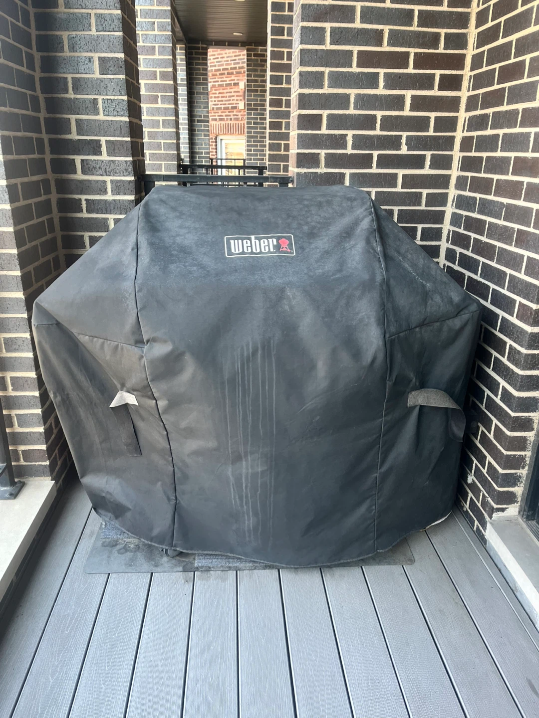 Weber Spirit Gas Grill