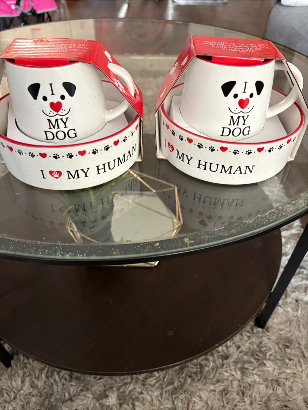Mug and Pet Bowl Set