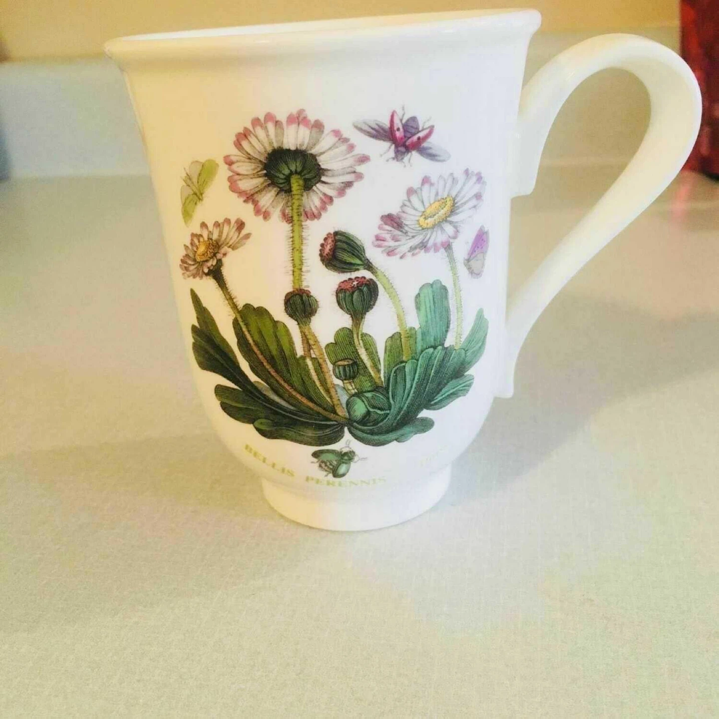 Portmeirion Botanic Garden Mug