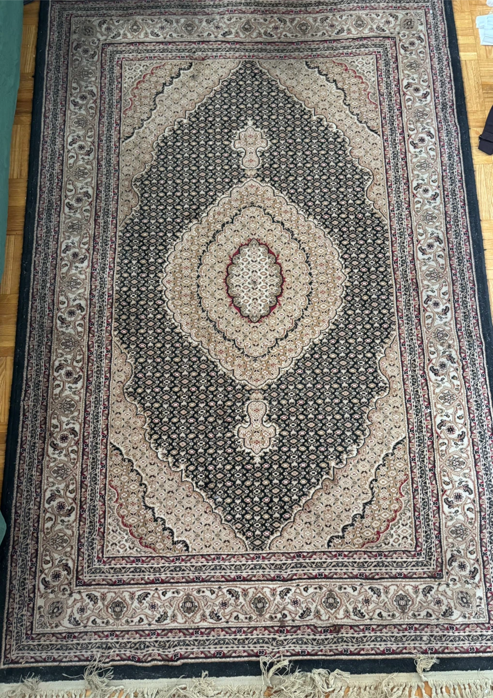Persian Style Area Rug