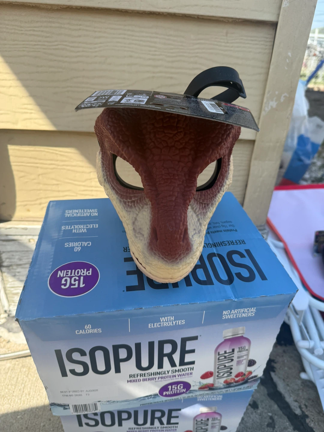 Dinosaur Mask