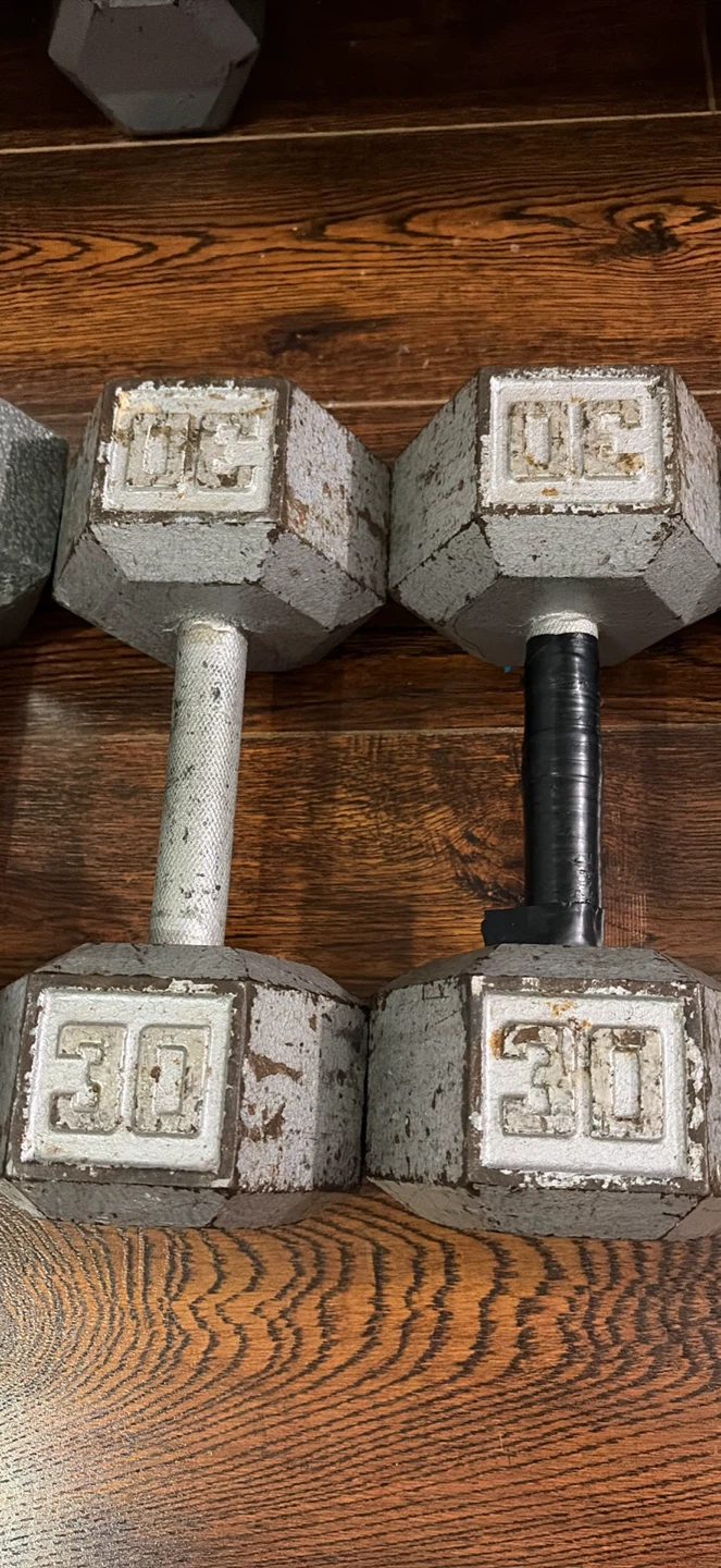 30lb Dumbbells (Pair)