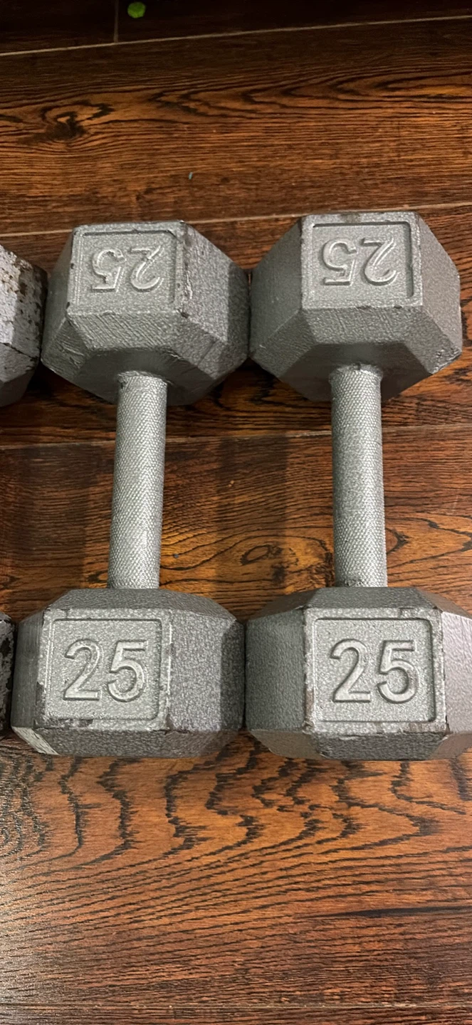 25 lb Dumbbells (Pair)