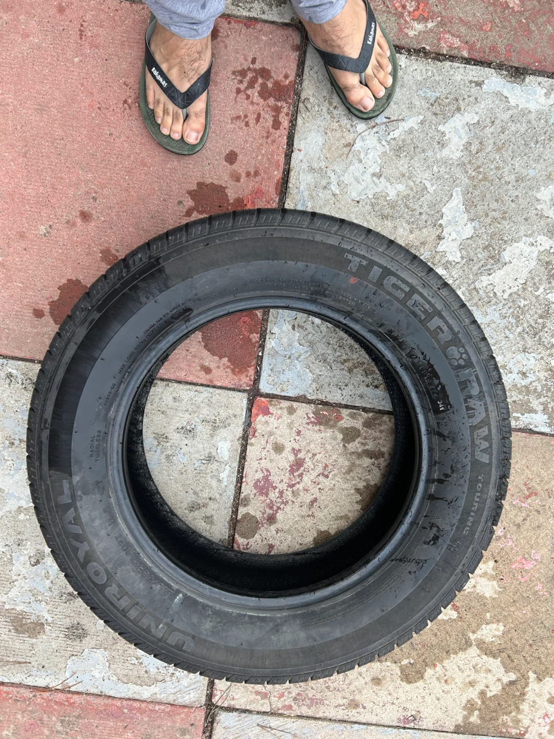 Uniroyal Tiger Paw Touring Tire