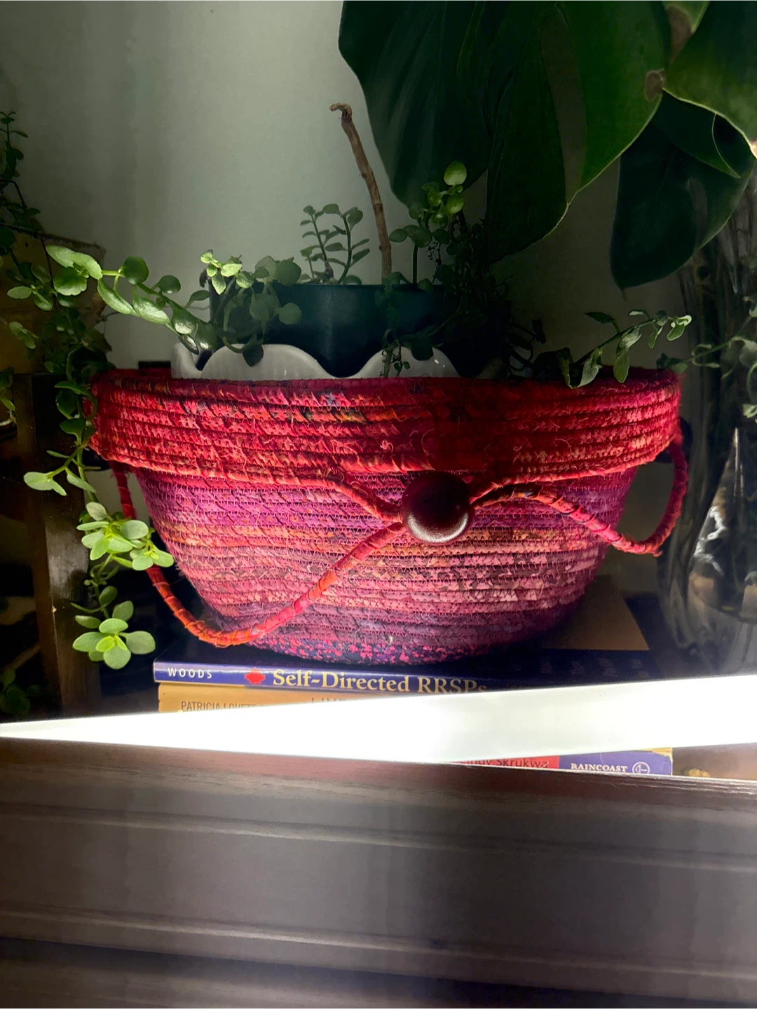 Woven Storage Basket - Red and Pink Ombre - small plant included - photo 2