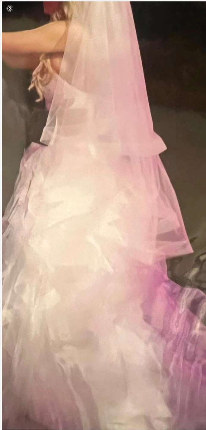 Strapless Ball Gown Wedding Dress with Veil - photo 3