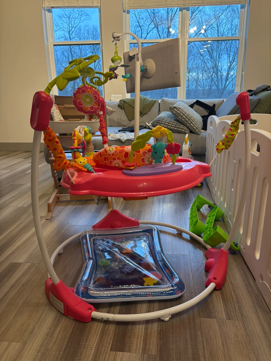 Fisher-Price Jumperoo