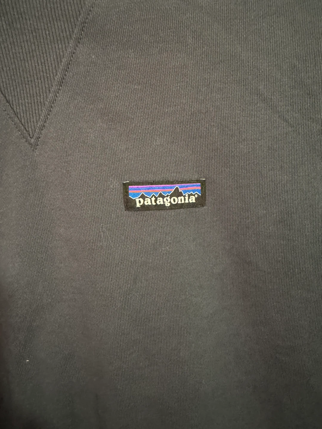 Patagonia Hoodie XXS Regenerative Organic Certified Cotton - photo 2