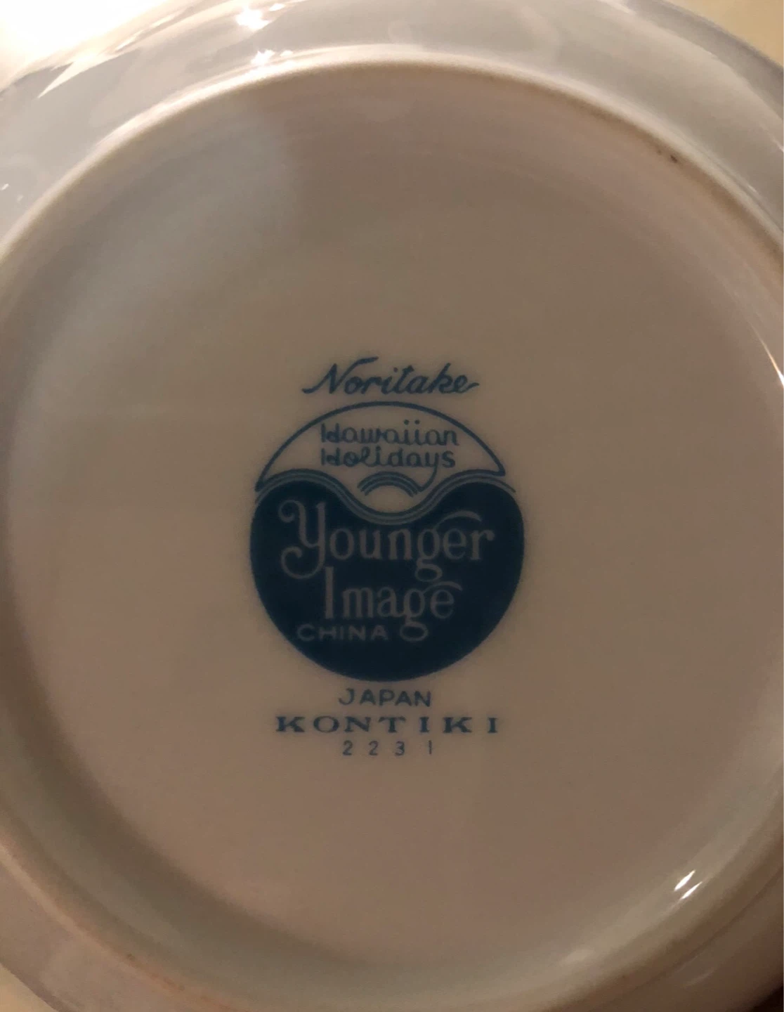 Noritake Younger Image Kontiki China Bowl Set - 12 Bowls - photo 3