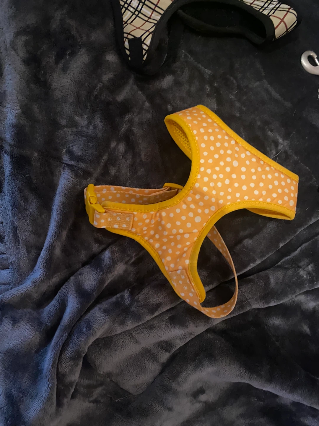 Dog Harnesses and Retractable Leash Set - photo 2