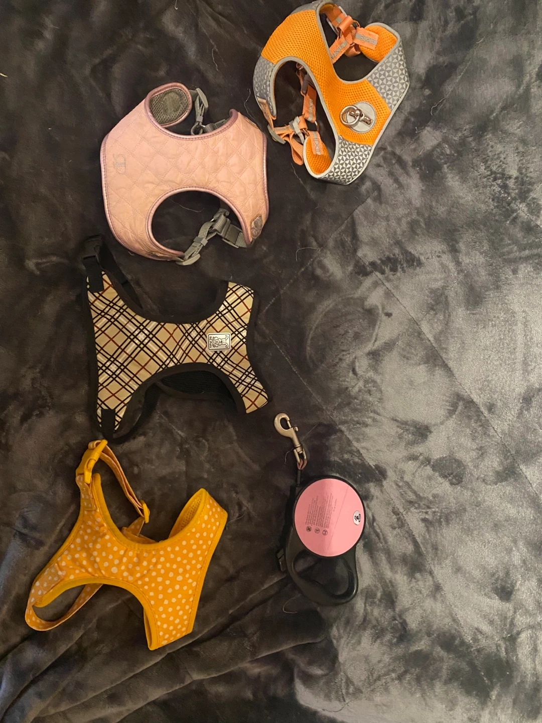 Dog Harnesses and Retractable Leash Set - photo 3