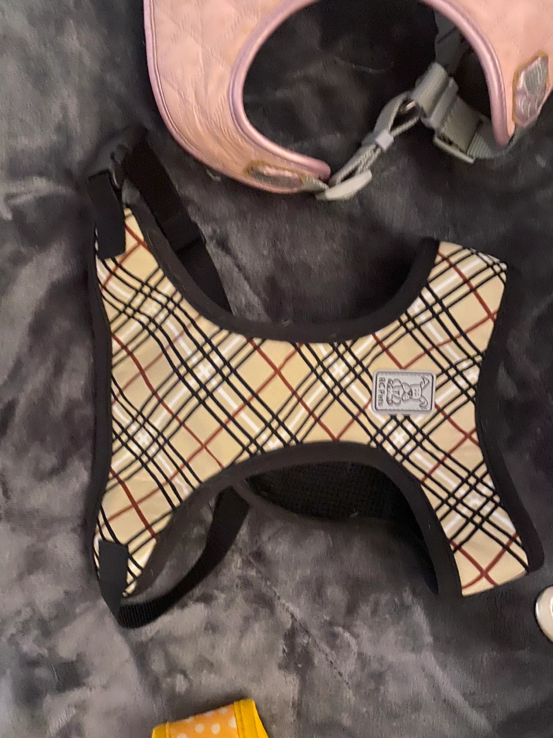 Dog Harnesses and Retractable Leash Set
