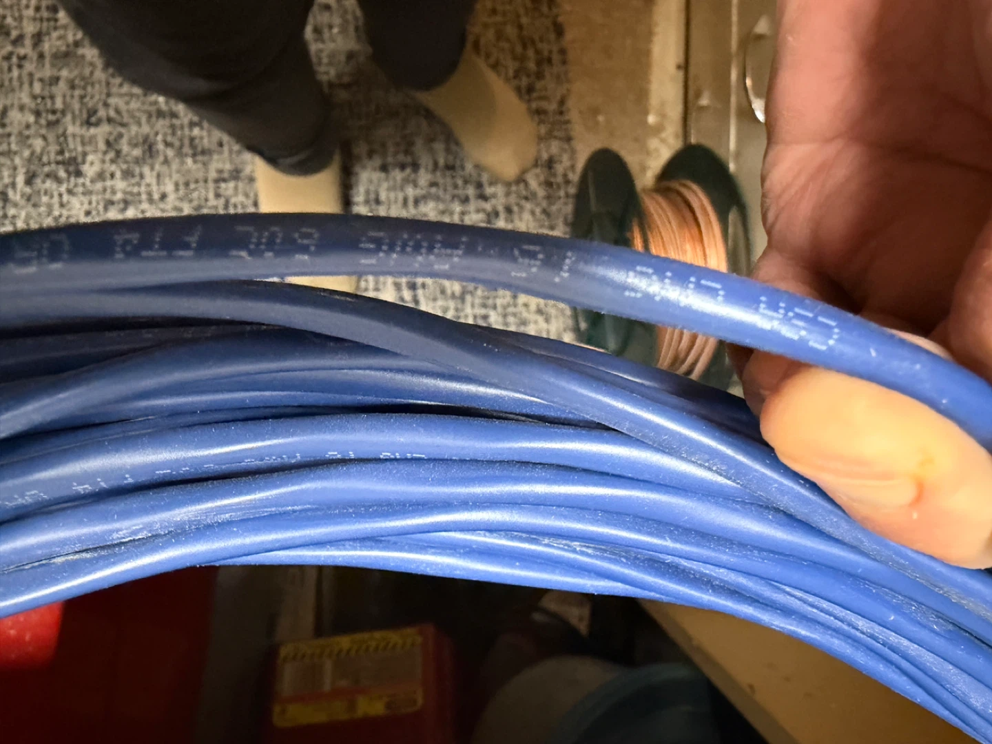 Blue CSA CMG 16 AWG FT4 300 V speaker cable-75 ft