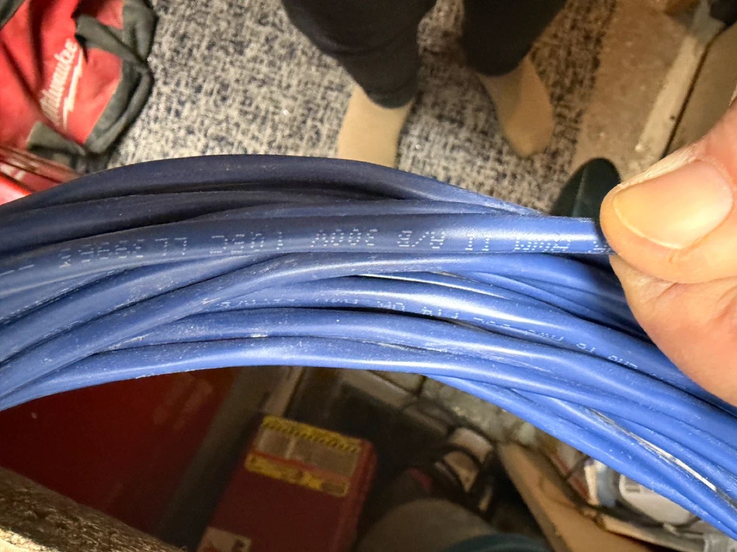 Blue CSA CMG 16 AWG FT4 300 V speaker cable-75 ft - photo 2