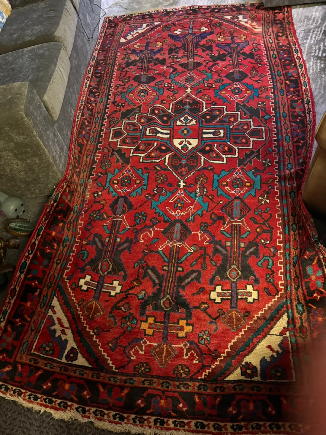 🥕Area Rug