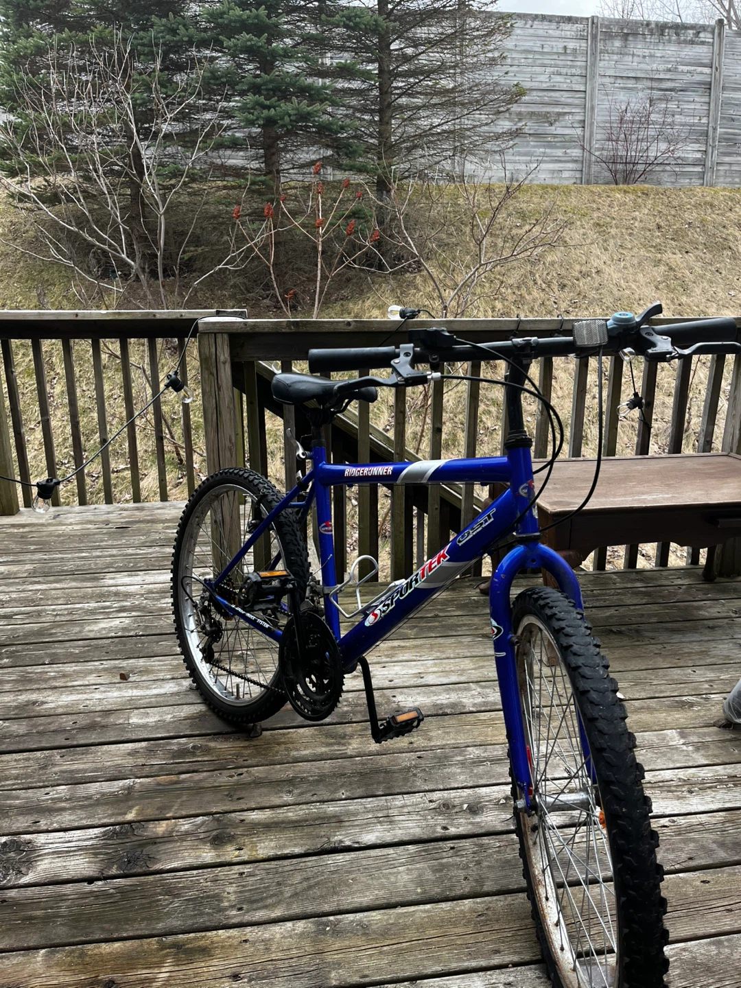 Sportek Ridgerunner Mountain Bike - photo 2