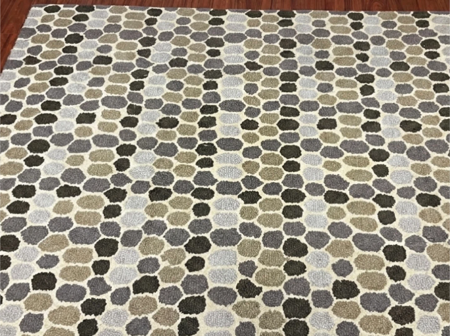 Area Rug - photo 2