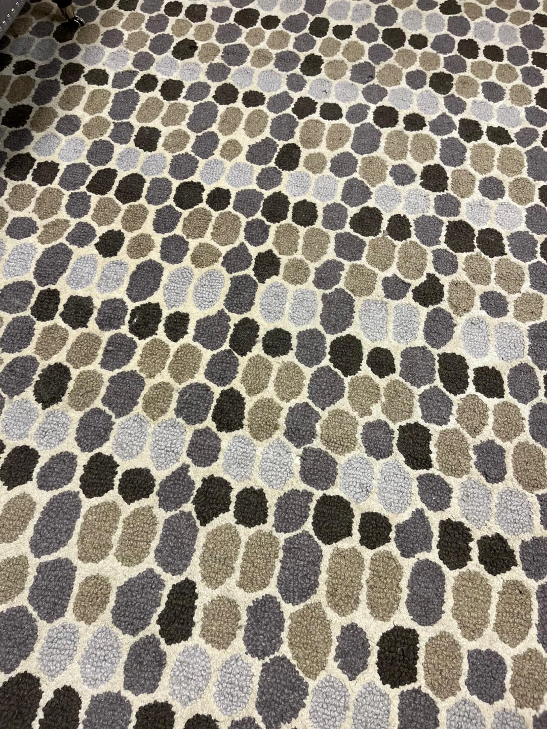Area Rug - photo 4