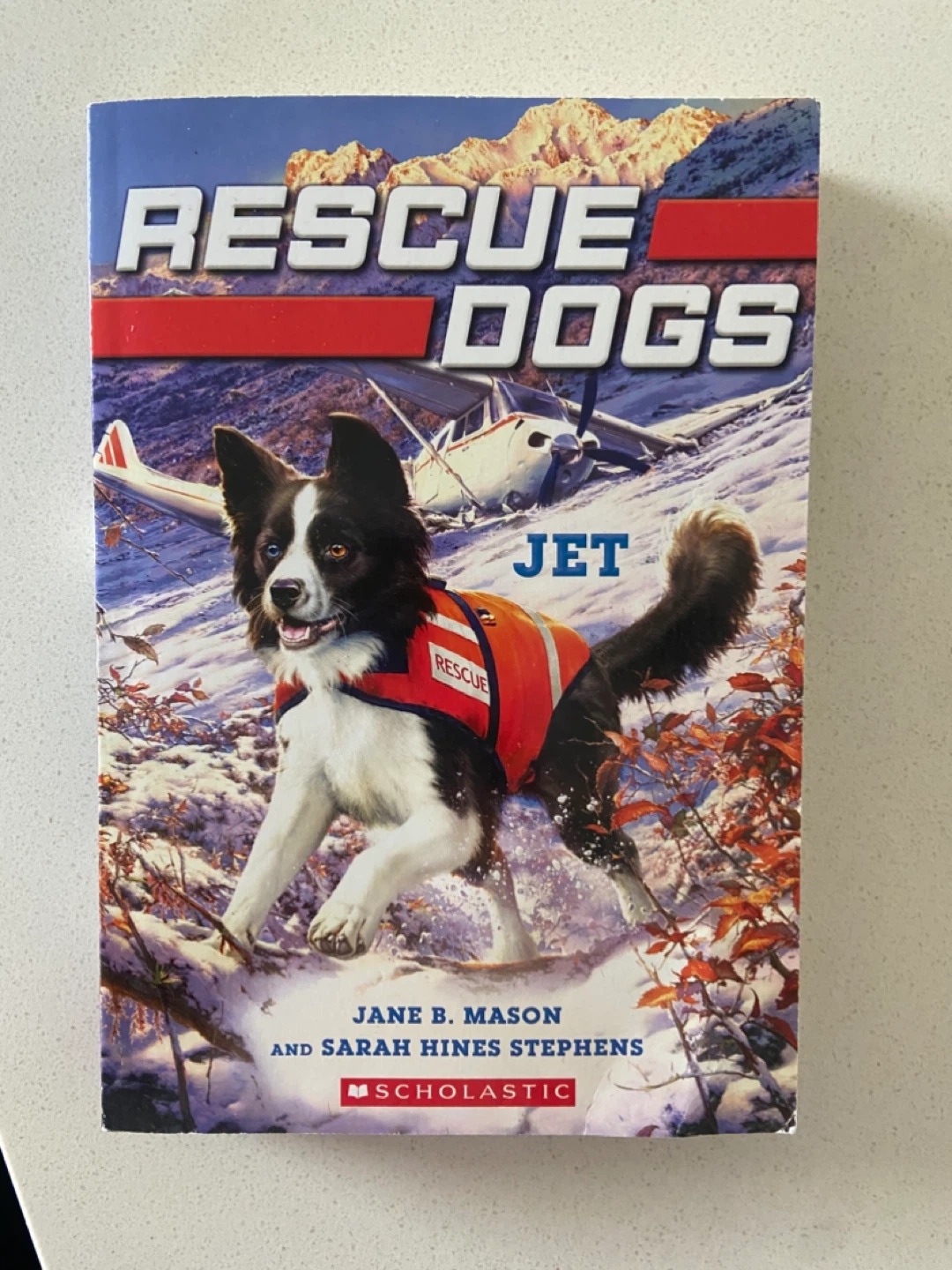 NEW: “Rescue Dogs: Jet” by Jane B. Mason & Sarah Hines Stephens