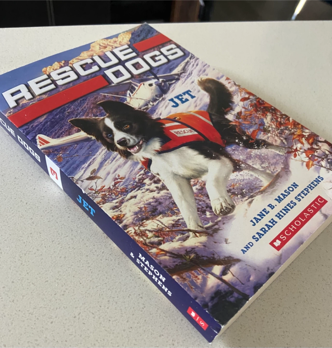 NEW: “Rescue Dogs: Jet” by Jane B. Mason & Sarah Hines Stephens - photo 2