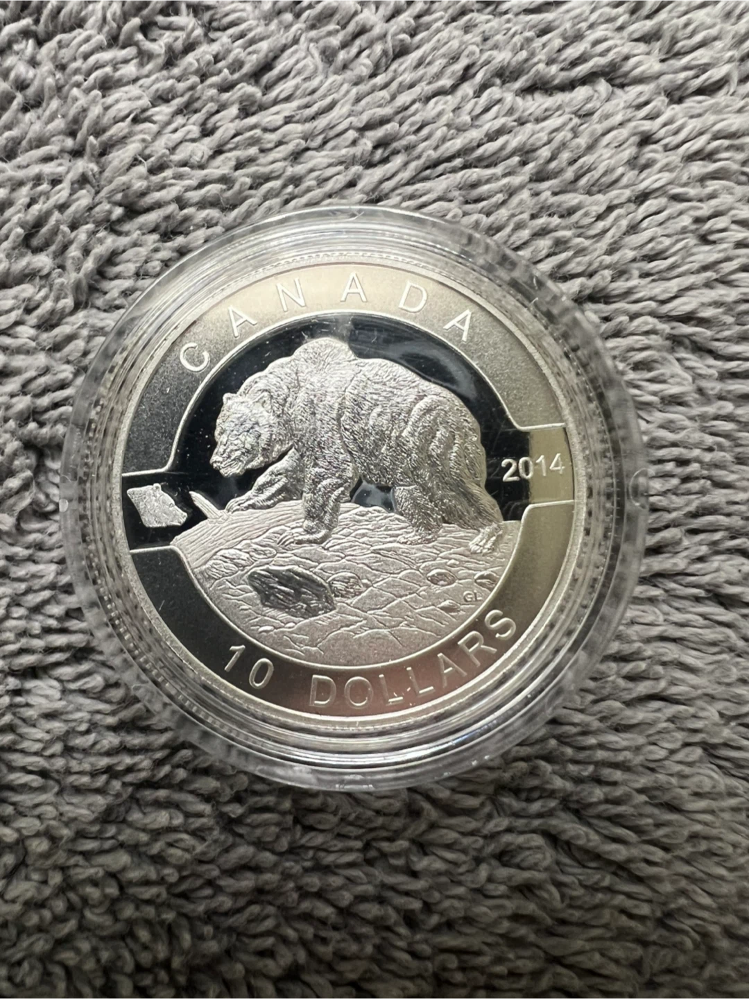 .9999 Fine Silver Grizzly Bear