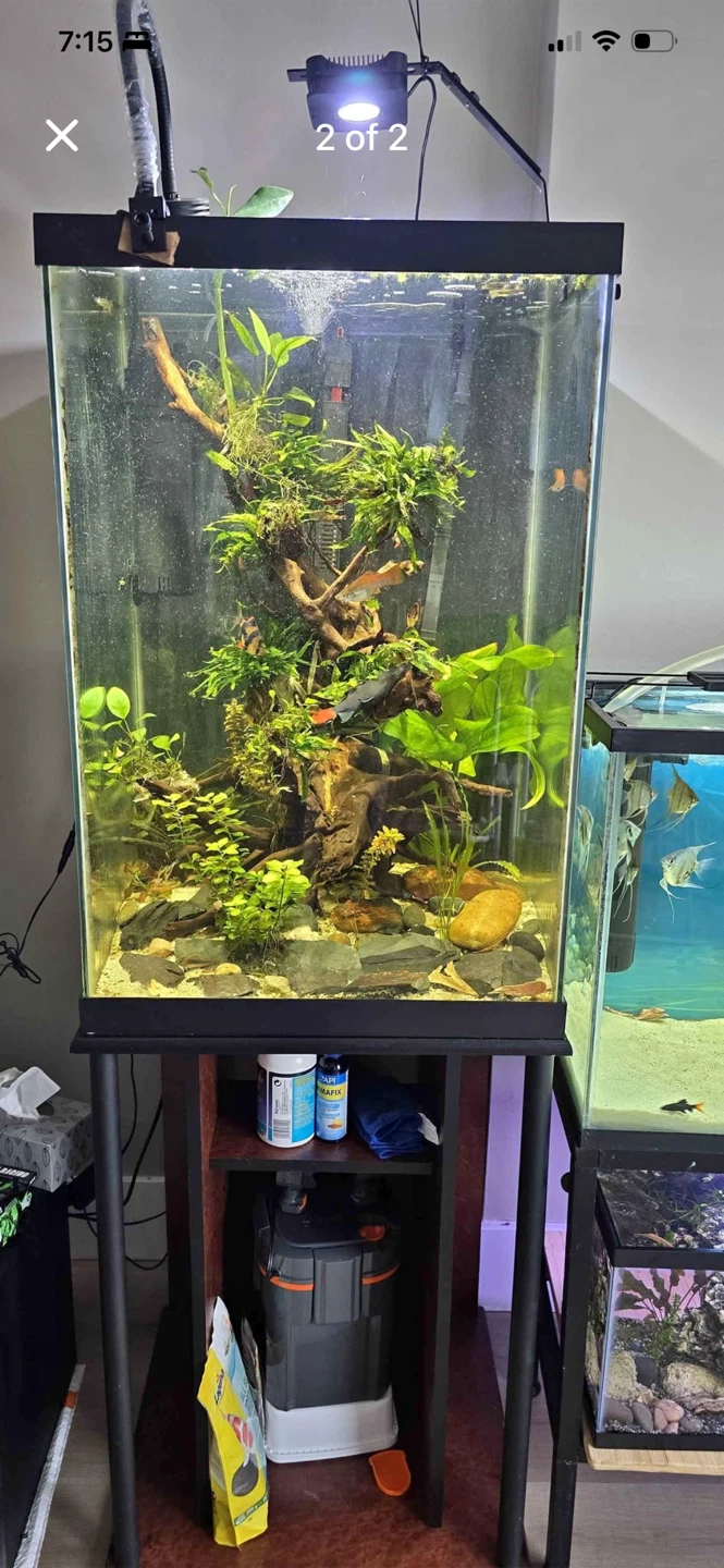 55 gal aquarium tank with stand and led Buddha decor!