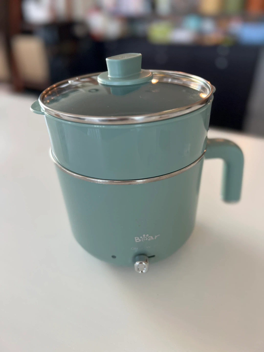 Electric Mini Hot Pot with Steamer Basket
