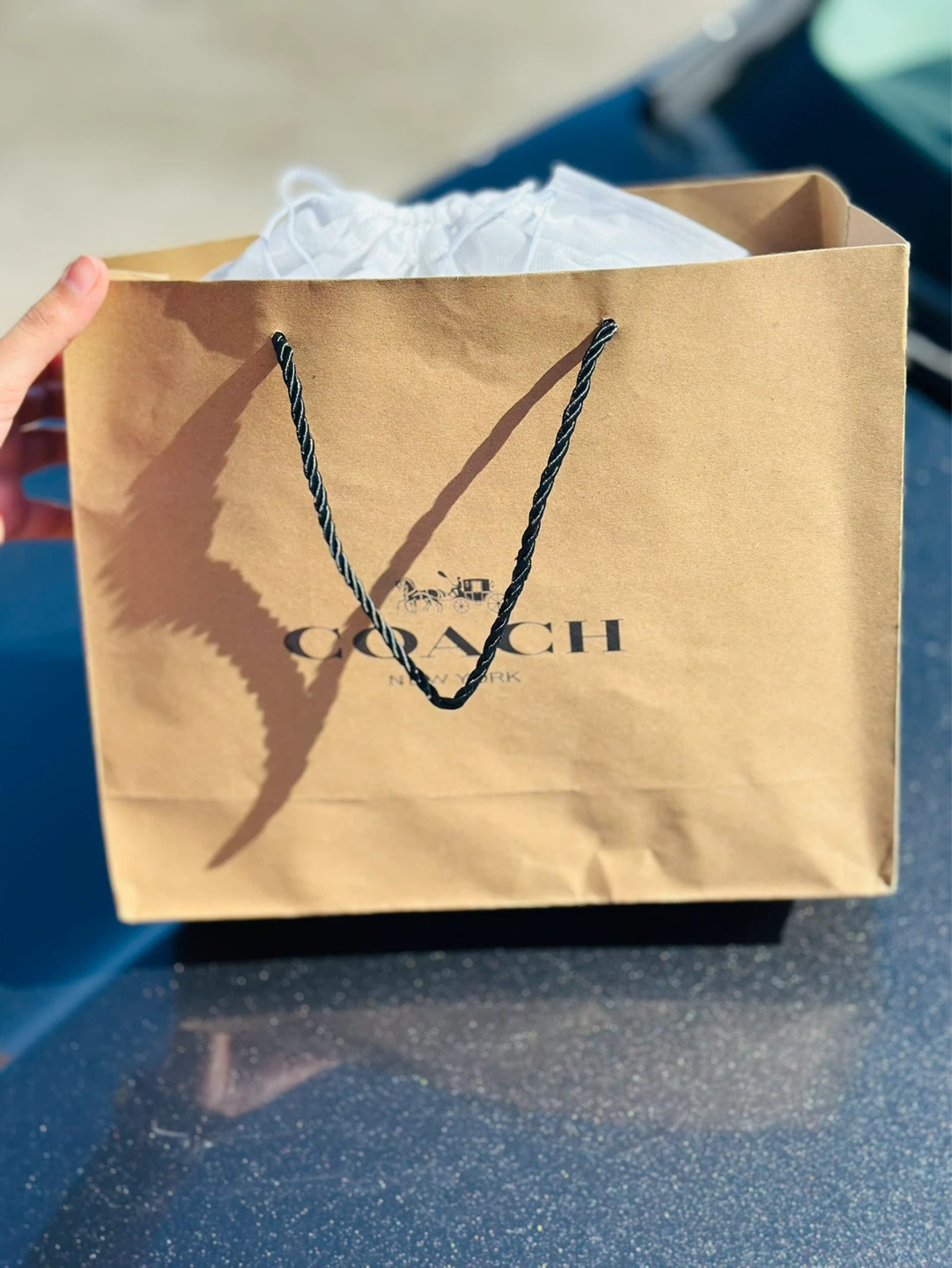 Coach Tote Bag with Signature Pattern - photo 5