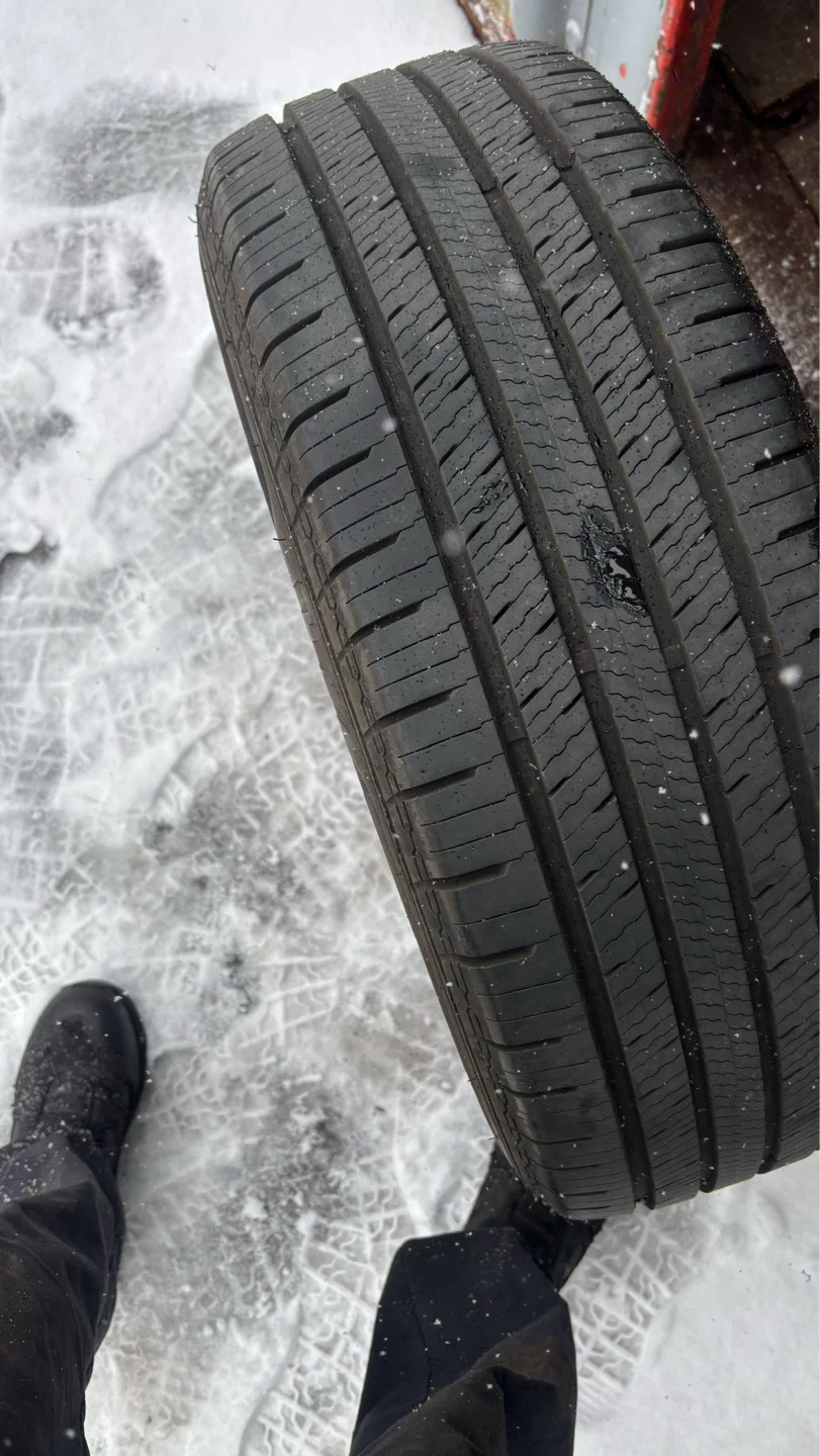 225/65R17 Motomaster All season tires - photo 5