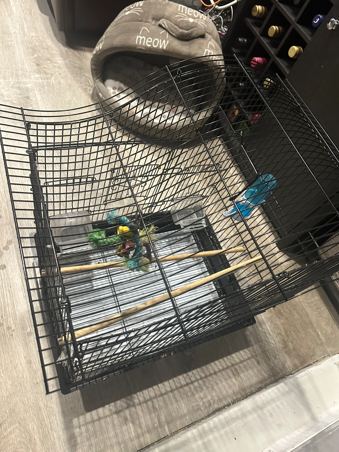 Bird Cage with Accessories - photo 2