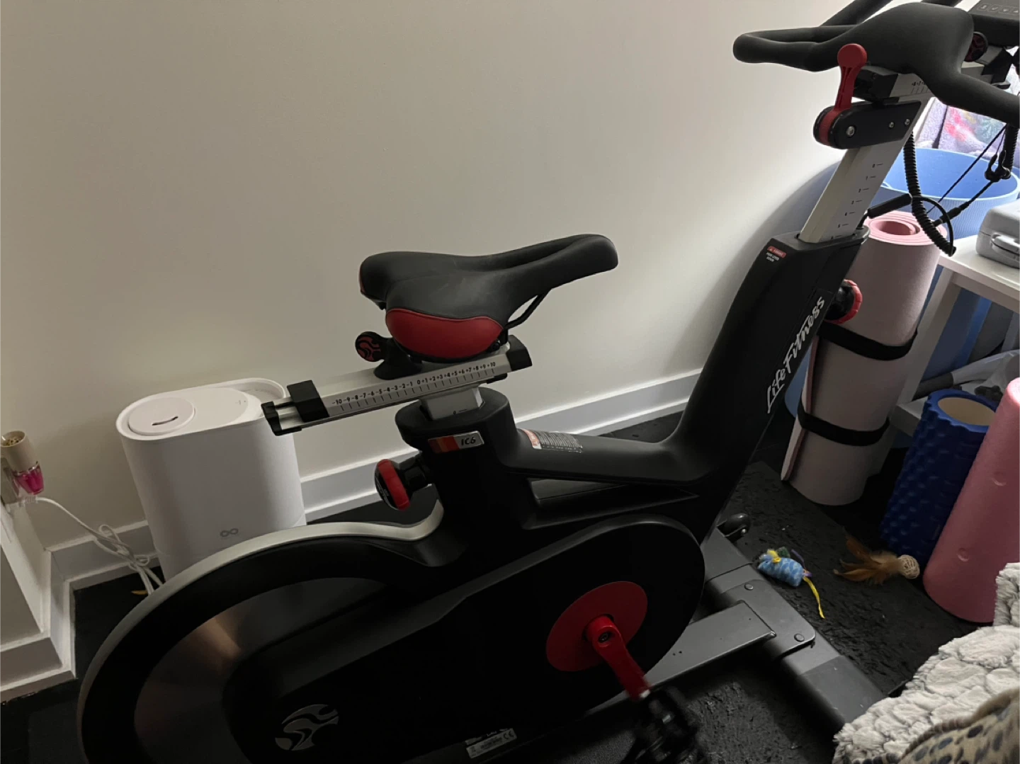 Life Fitness Spin Bike