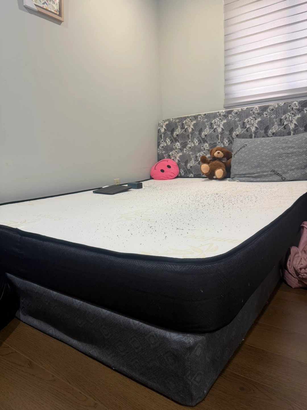DreamCloud Queen Mattress with box