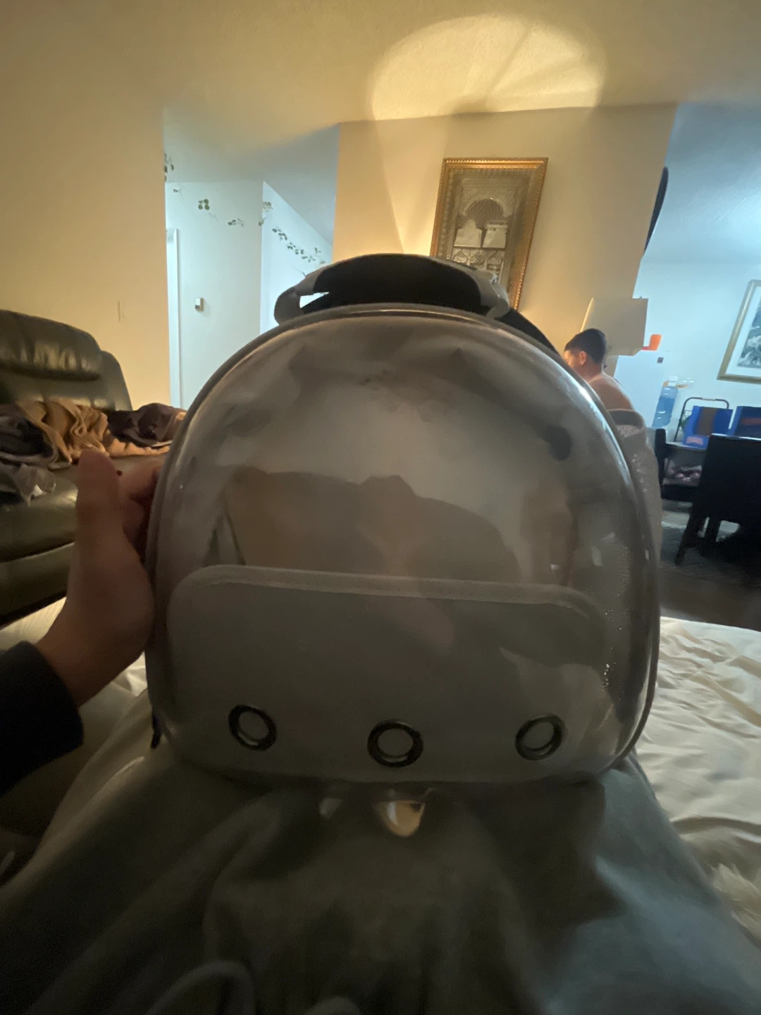 Clear Pet Carrier Backpack